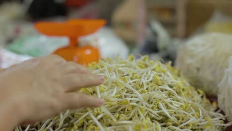 closeup of asian woman hand moving around a pile of beansprout, grabbing some and then putting it back again