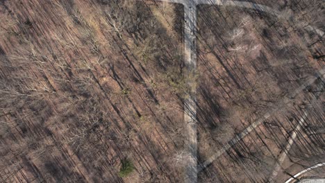 AERIAL:-Top-View-Shot-of-Azuolynas-Park-in-Kaunas-with-Long-Tree-Shadows