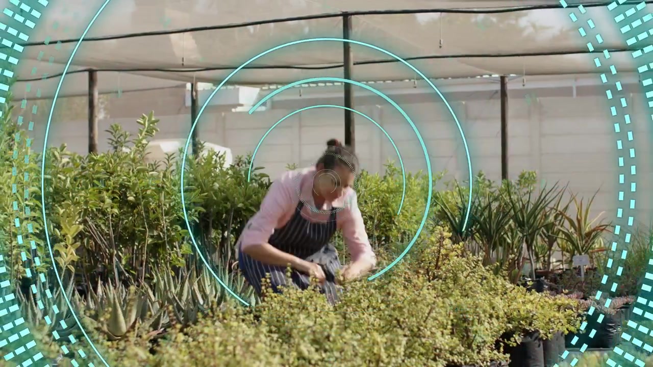 Donna che si china a ispezionare file in movimento, potando piante per la cura del vivaio, con un anello color verde acqua che si espande e oscura.