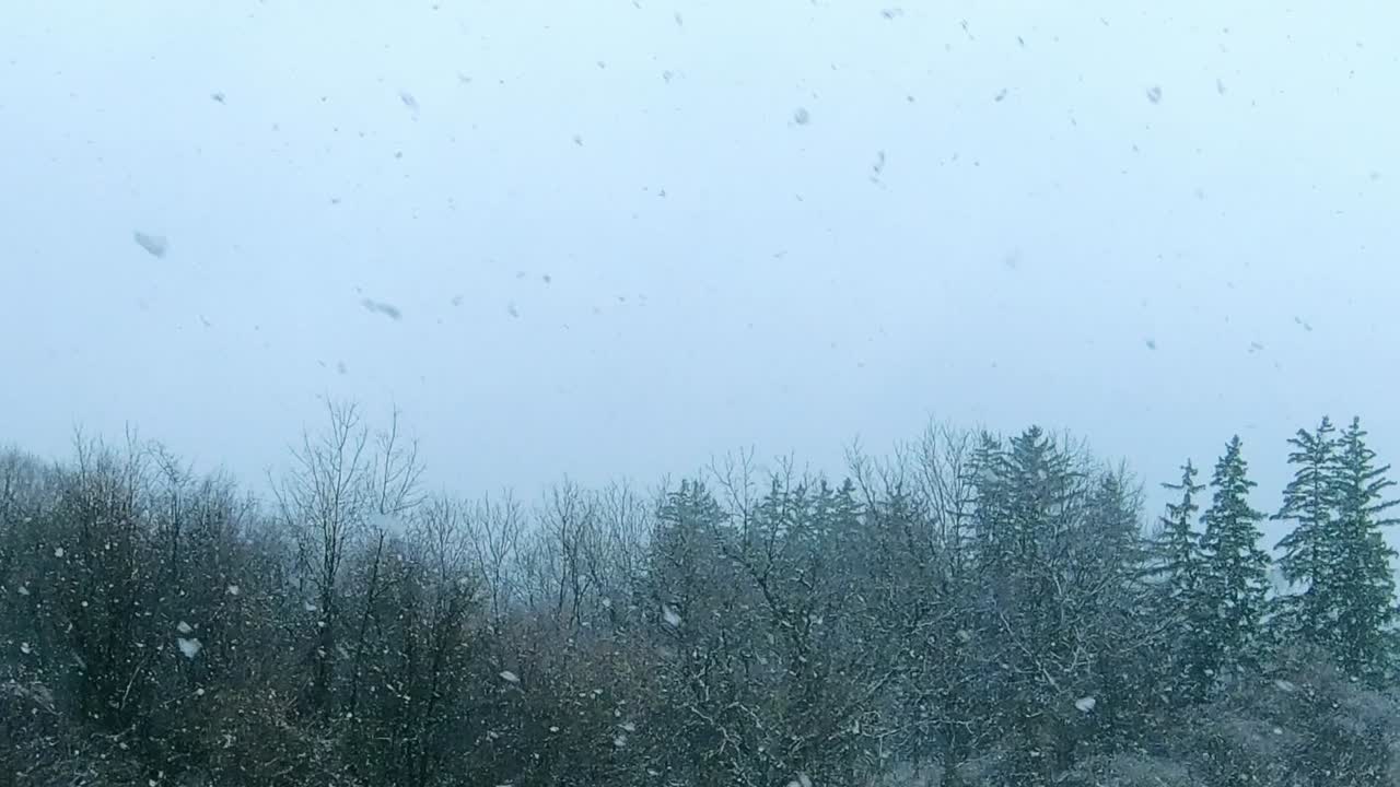 Landscape during snow storm. Static