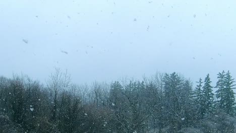 Paisaje-Durante-La-Tormenta-De-Nieve.-Estático