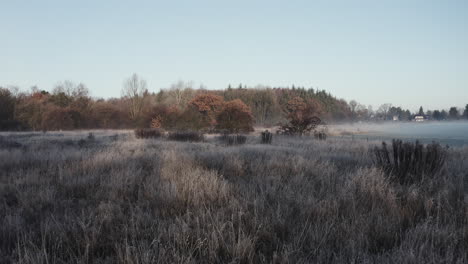 early morning winter landscape, tracking shot over frost-covered bushes, very romantic