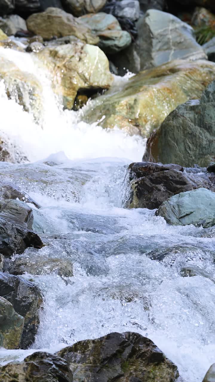 Acqua cristallina di un ruscello di montagna scorre impetuosamente su grandi rocce ricoperte di muschio, sotto la brillante luce naturale del giorno, ripresa con un piano medio stabile, con dettagli nitidi e colori vivaci.