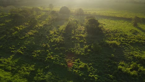 drone volando sobre un campo verde hacia el sol saliendo detrás de una montaña