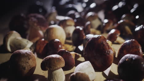 Many-mouth-watering-wild-mushrooms-lie-on-the-table---an-ingredient-for-gourmet-dishes.-Slider-shot