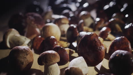 many mouth-watering wild mushrooms lie on the table - an ingredient for gourmet dishes. slider shot