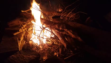 beautiful footage 4k campfire on rural area