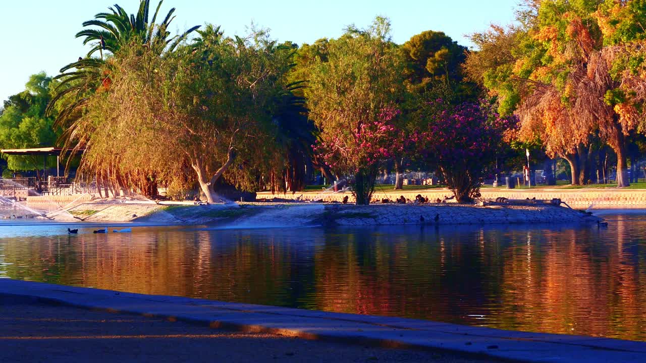 Water fowl panorama at suburban metropark