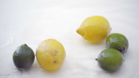 slomo de cítricos en agua sobre fondo blanco