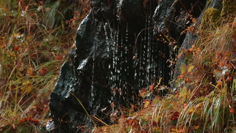 water cascading over rocks in a forest setting