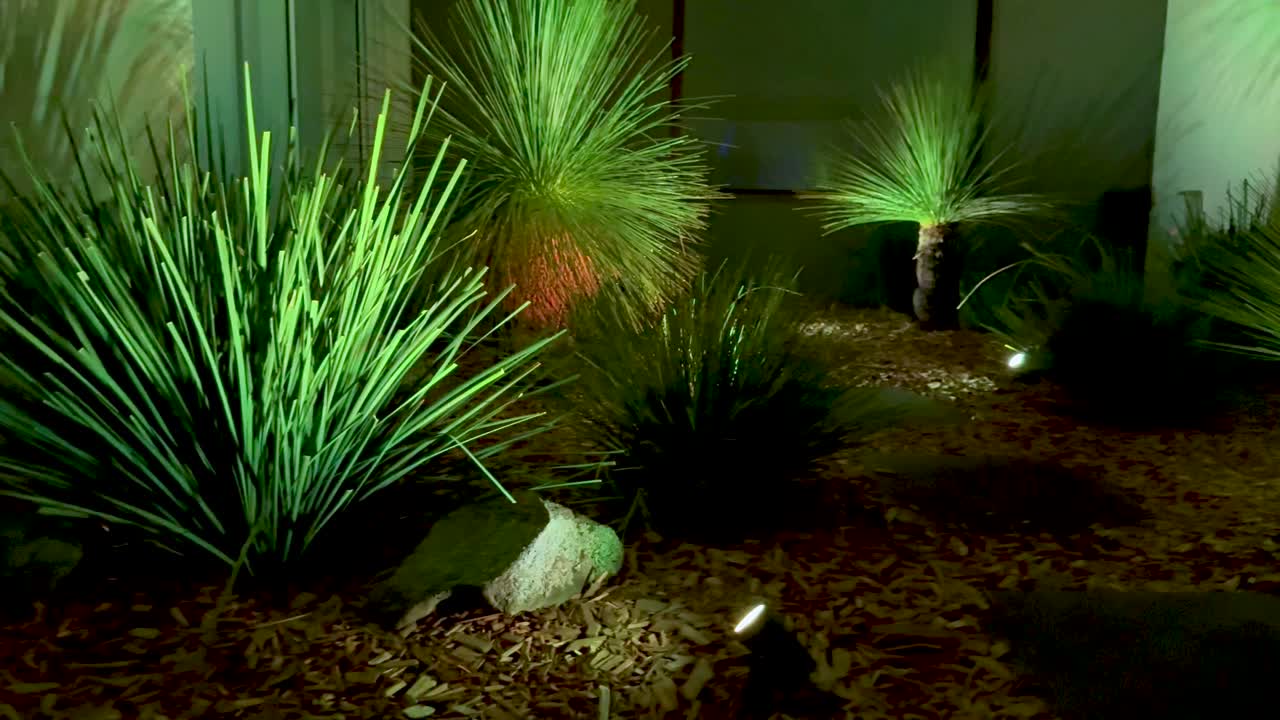 luces vibrantes iluminan un jardín por la noche