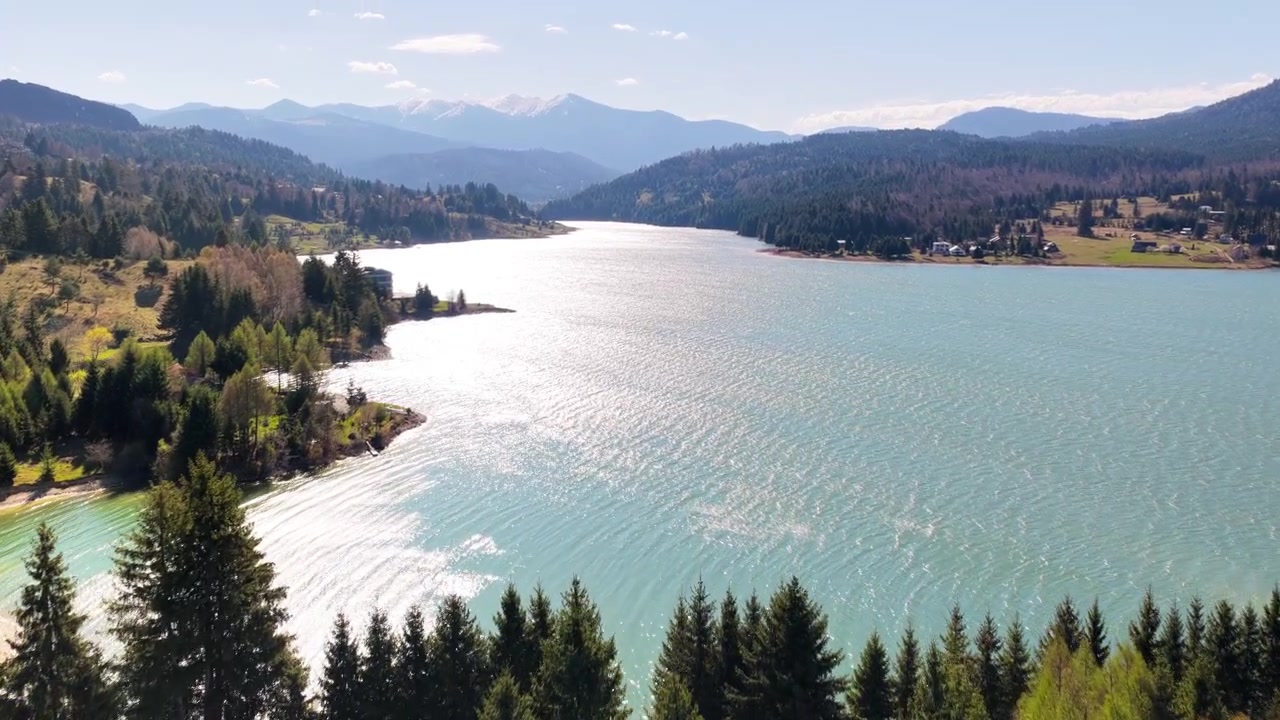 Vista aerea con drone di case immerse tra i pini lungo la riva del Lago di Colibița, Romania