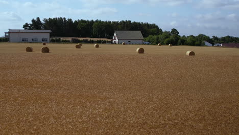 Aerial-flyover-golden-Wheat-field-and-hay-bales-with-farm-houses-in-background-in-summer