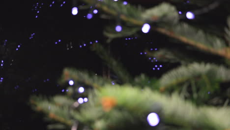 Pull-Focus,-Close-Up-Christmas-Tree-Branches-with-LED-String-Lights-and-Bokeh