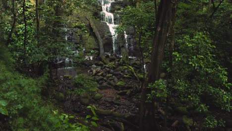 a beautiful young woman lookiung at a jungle waterfall at a rocky wall in the deep rainforest jungle in rincon de la vieja, costa rica