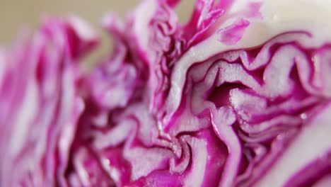 close up of sliced red cabbage 4k