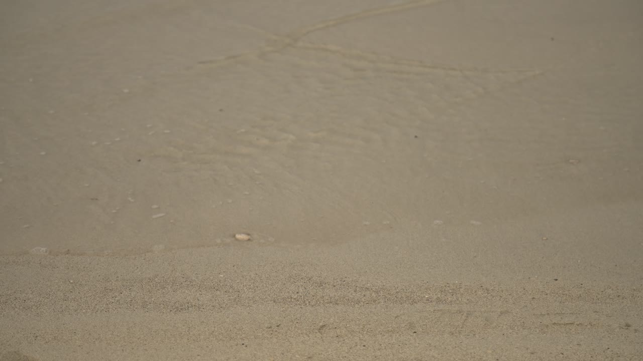 바다의 파도가 조용히 모래를 가로질러 미끄러져 4k