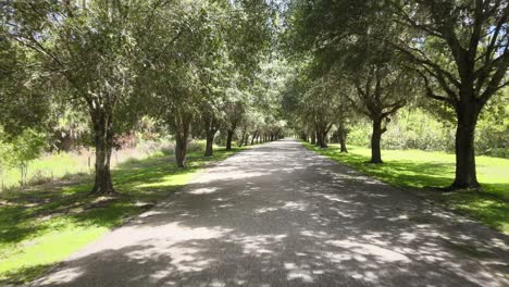 Vorwärtsflug-über-Eine-Lange,-Von-Bäumen-Gesäumte-Auffahrt-Im-Süden-Floridas