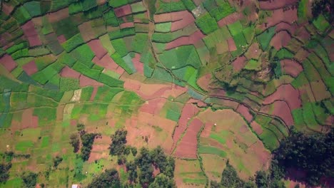 bird's eye view of agricultural fields in uganda, east africa