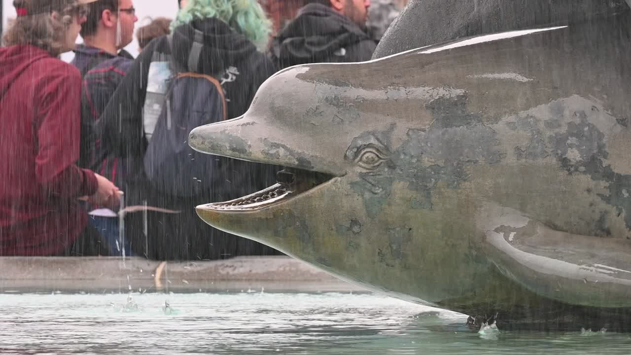 Dolphin within Trafalgar Square, London, United Kingdom