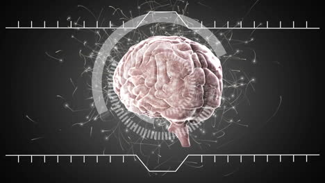 cerebro giratorio y círculos blancos