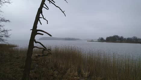 drone flight at a foggy german lake