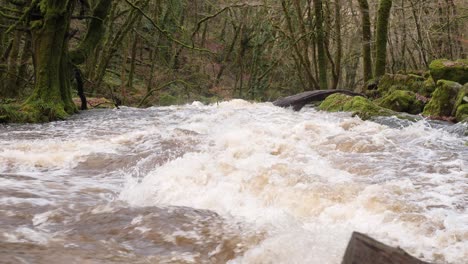 Gefährlicher,-Schnell-Fließender-Fluss-Durch-Alte-Wälder