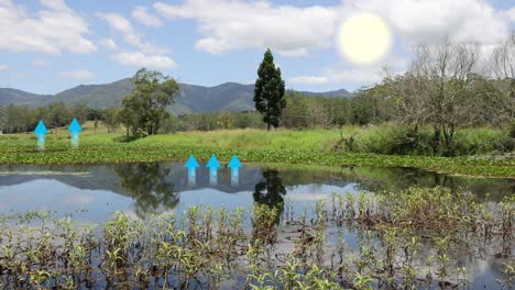 muestra los procesos de evaporación, condensación y precipitación