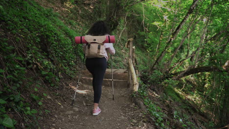 woman hiking in a forest