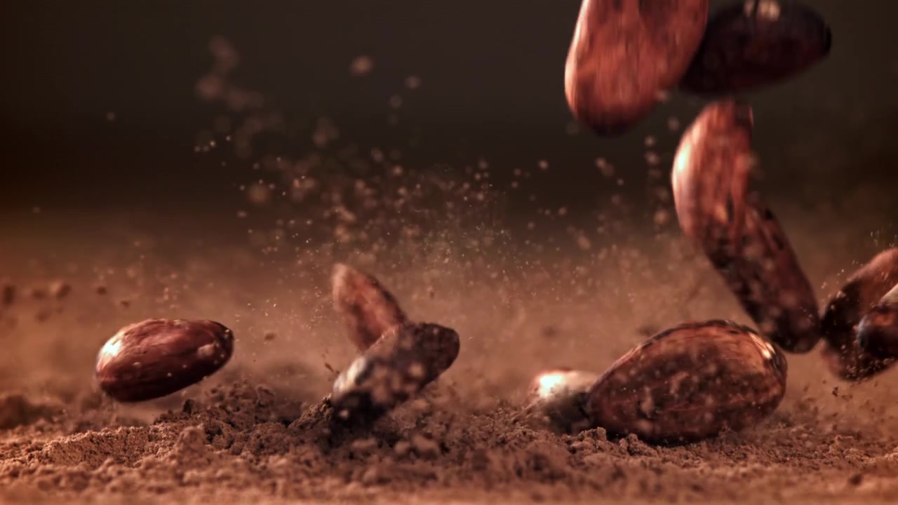 Slow Motion Cocoa Beans Falling onto Cocoa Powder