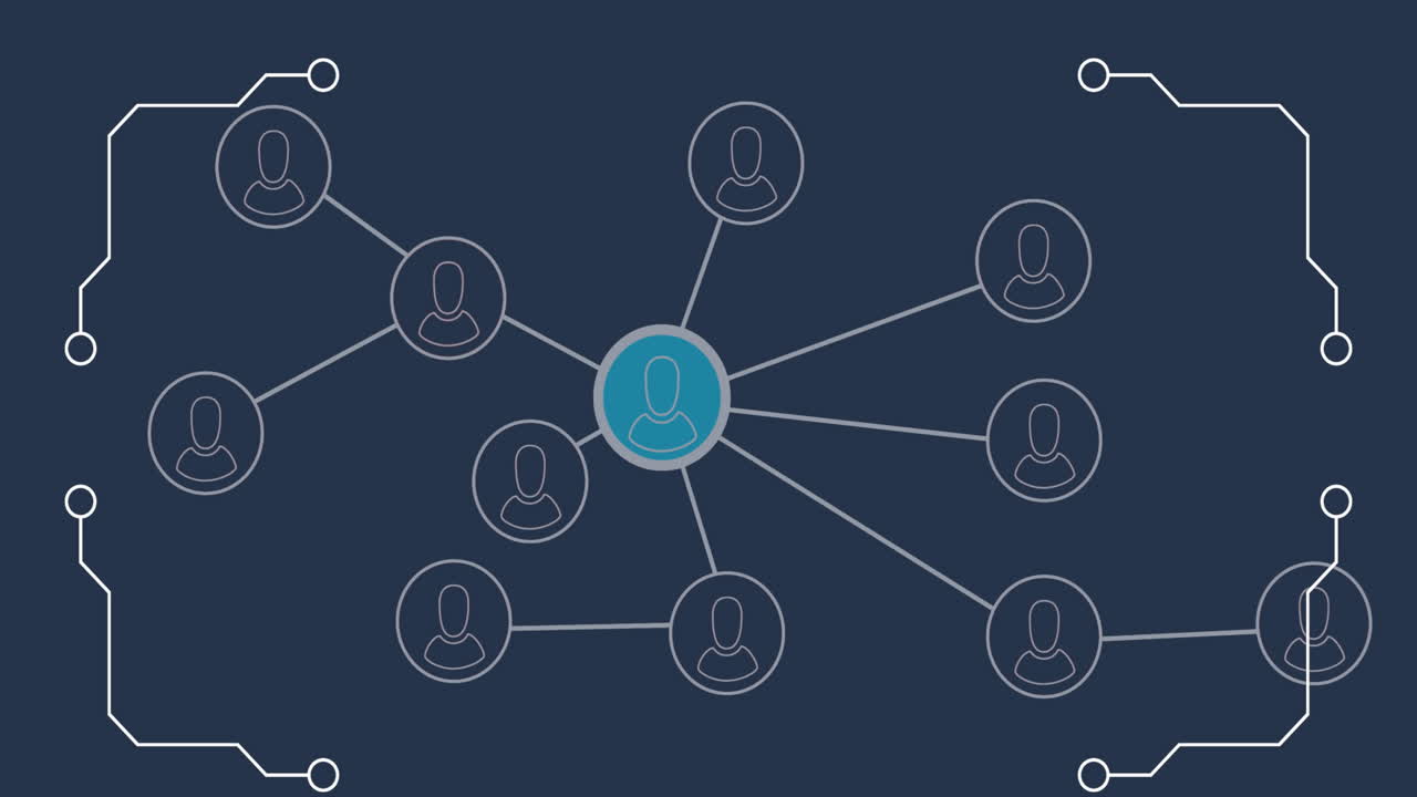 Animation of networks of connections with icons and data processing