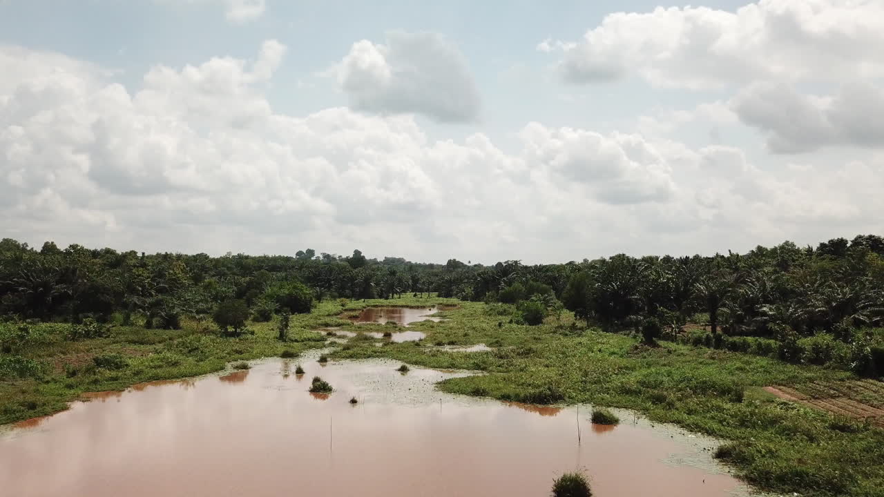 volando sobre humedales y jungla de palmeras en áfrica benín