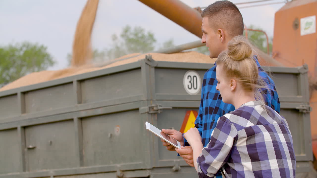 agricultura agricultores femeninos y masculinos hablando en el campo de trigo durante la cosecha 8