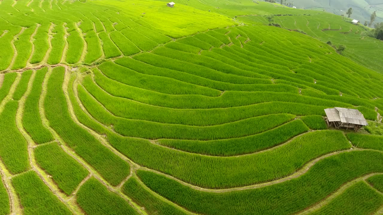 терраса рисовых полей на горной сельскохозяйственной земле.