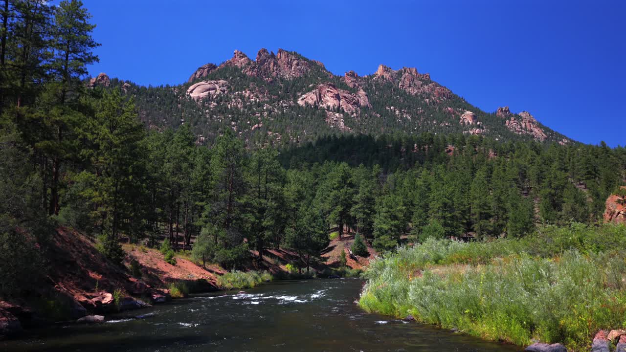 Summer Deckers South Platte River Conifer Pine aerial drone Colorado Trail Foxton North Fork Buffalo Creek Platte Canyon Sheep mountain morning sunny blue sky Pike National Forest upwards
