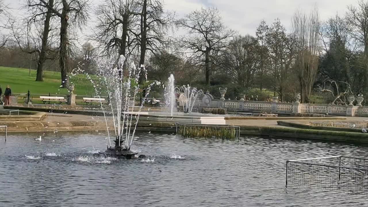 grandes elementos acuáticos en un parque de londres con gaviotas y palomas tomando un trago en el agua en un día gris y nublado en inglaterra
