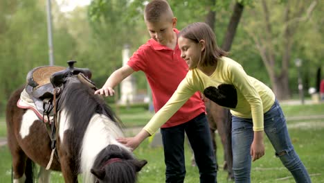 little girl and boy play with pony horse