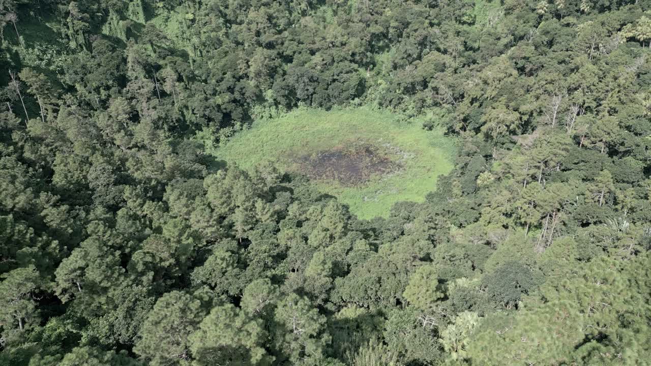 Mauritius - Trou aux Cerfs - Ascending view on the crater, dry season