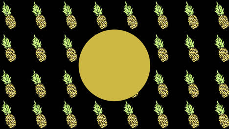 animation of yellow dot over pineapples on black background