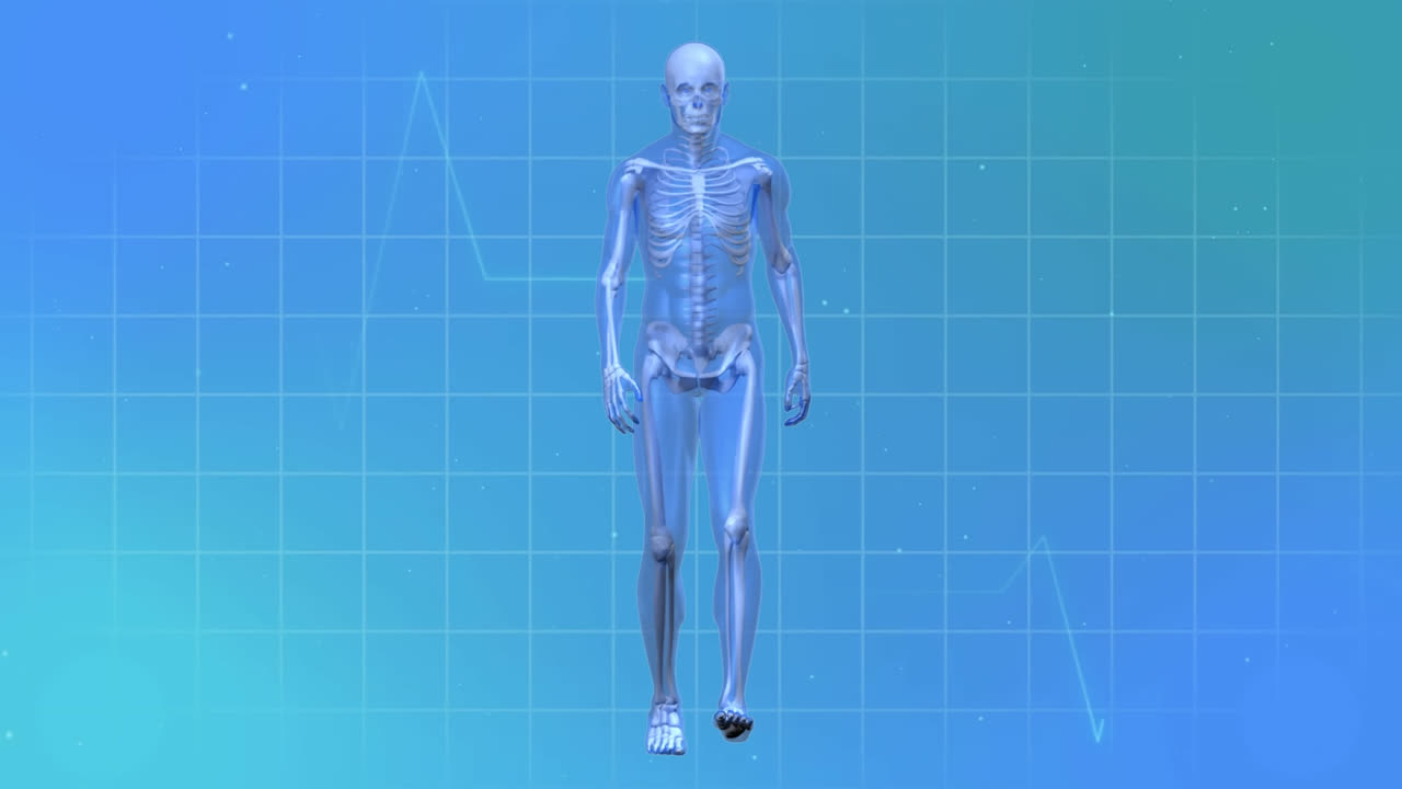 파란색 배경에 심장 사진과 는 골격의 애니메이션