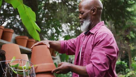 happy senior african american man holding flowerpots in garden