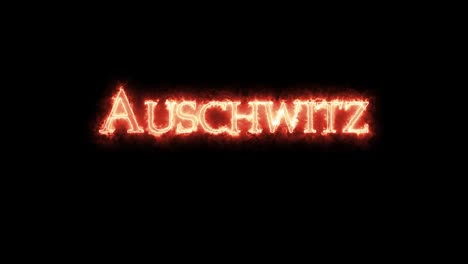 auschwitz written with fire. loop