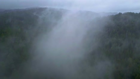 Una-Vista-Aérea-Nublada-Sobre-El-Monumento-Nacional-De-Muir-Woods-En-California