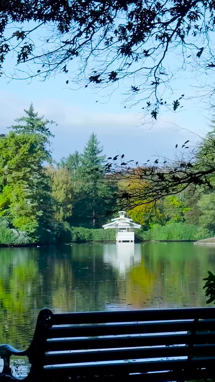 Scenic Lake with Pavilion