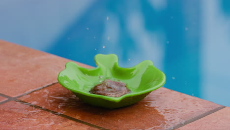 small metal object being dropped into a green bowl of water causing a splash