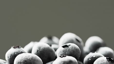 micro video of blueberries with copy space on grey background