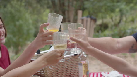 close-up of hands clinking glasses during a picnic in the forest