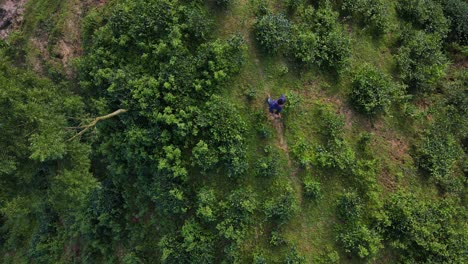 Unknown-man-walking-on-a-trail-in-countryside,-aerial-downwards-view