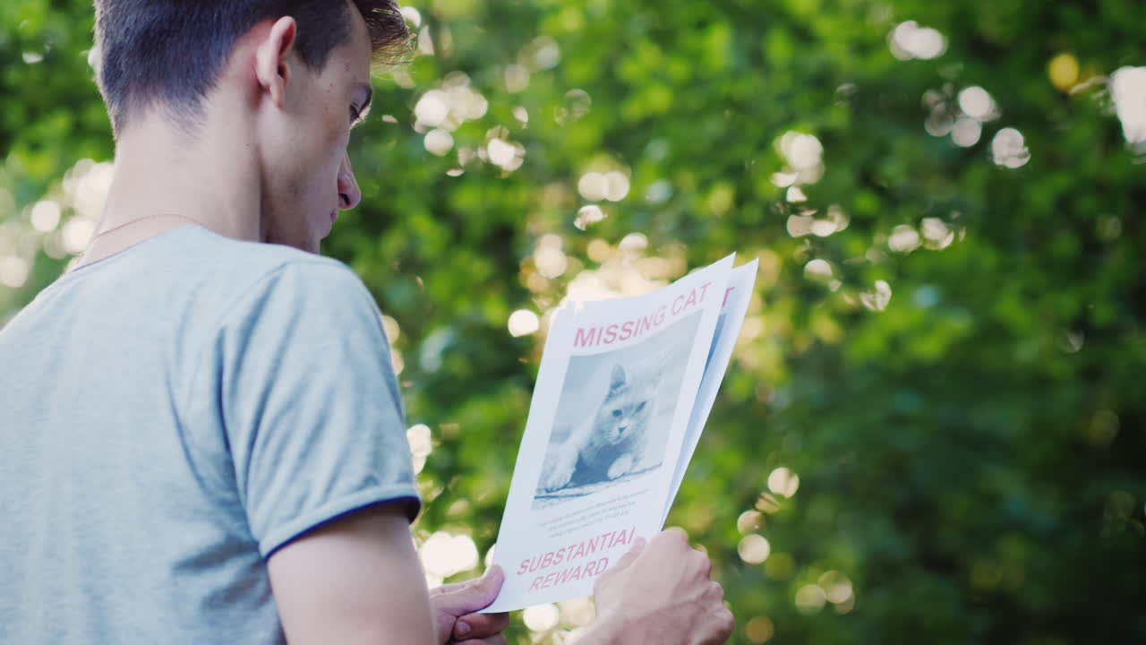 manos con el anuncio del animal desaparecido - gato doméstico