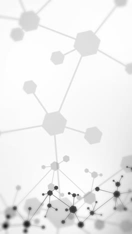 hexagonal molecular structure. abstract white background with grey molecule dna. medical, science and technology loop animation. vertical video.
